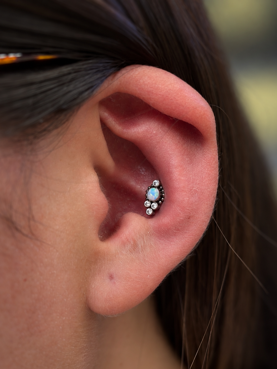 Conch