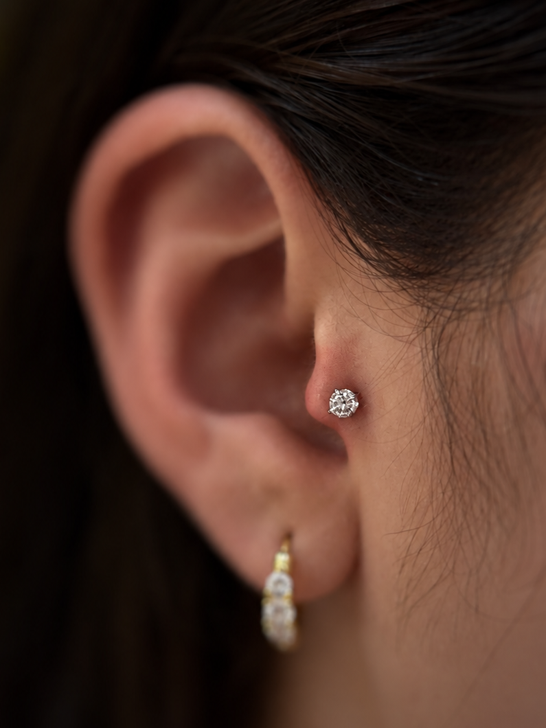 Tragus